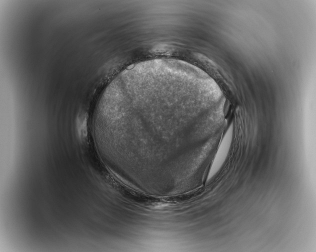 X0000095690504200802051315