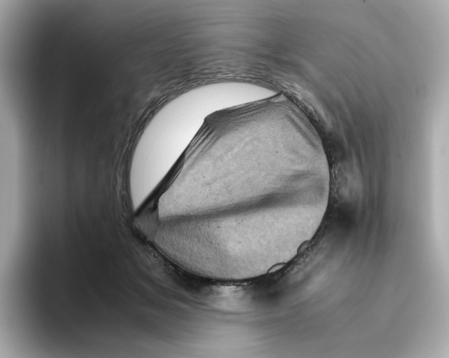 X0000095690509200802051315