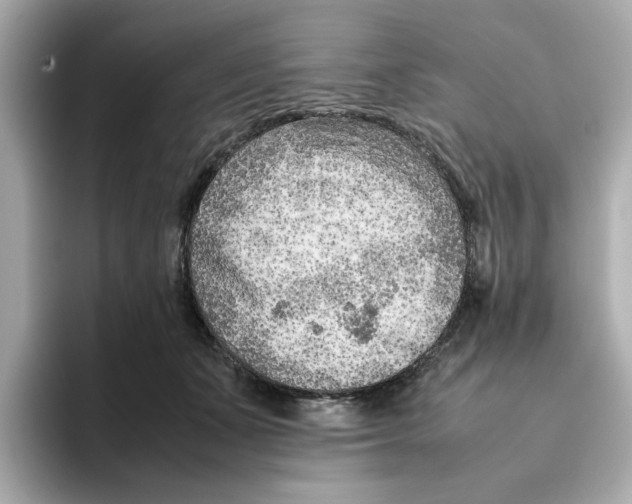 X0000095690511200802051315