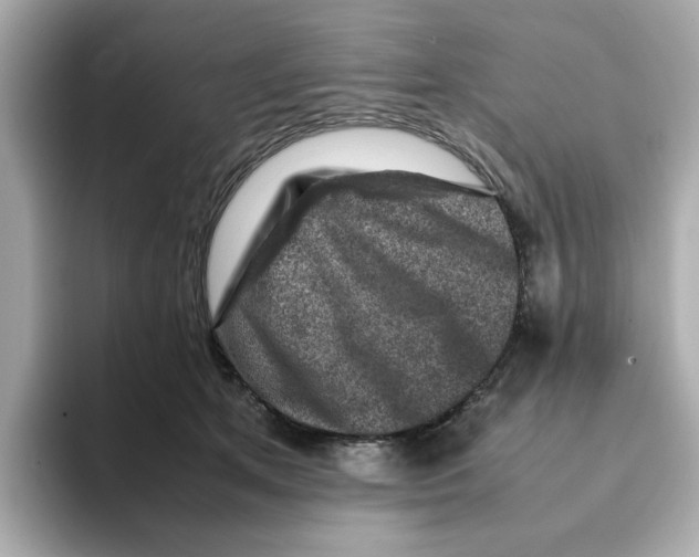 X0000095690513200802051315