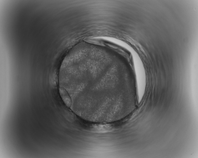 X0000095690517200802051315