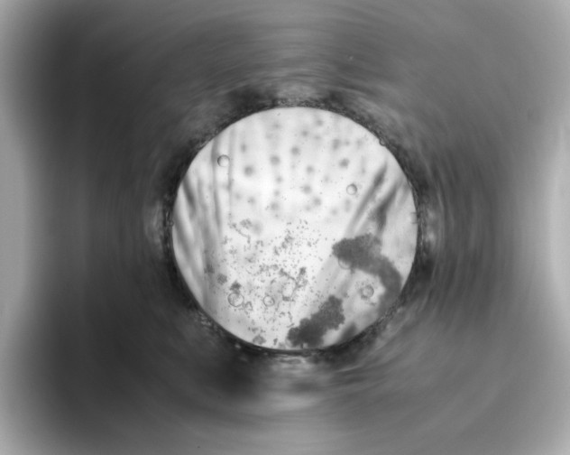 X0000095690519200802051315