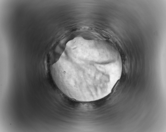 X0000095690520200802051315