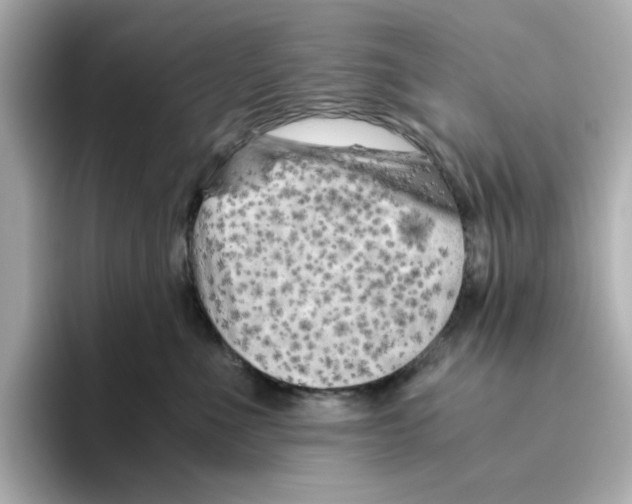 X0000095690523200802051315
