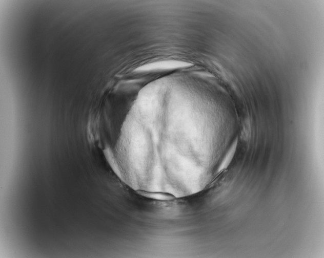 X0000095690524200802051315