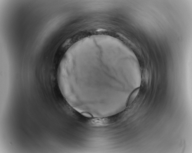 X0000095690526200802051315