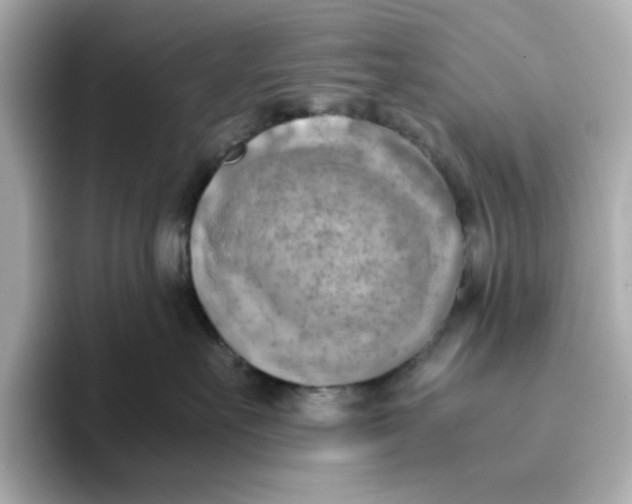 X0000095690527200802051315