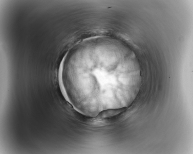 X0000095690528200802051315