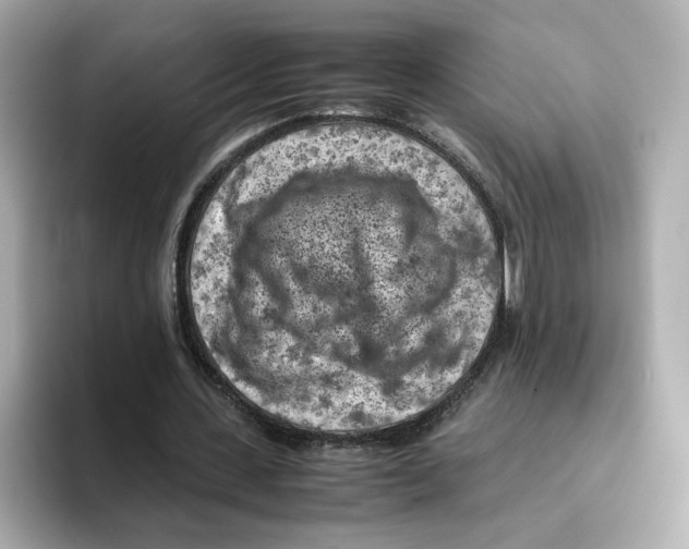 X0000095690531200802051314