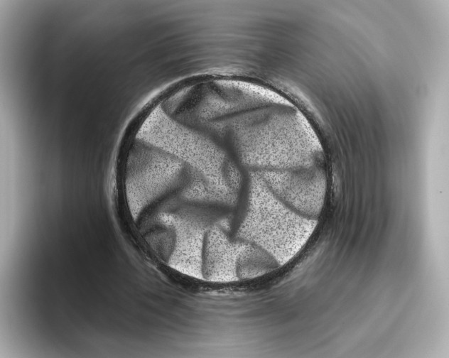 X0000095690532200802051315