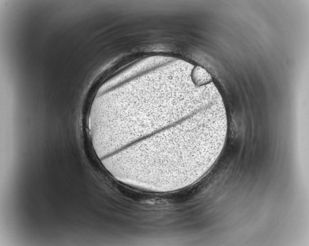 X0000095690535200802051315