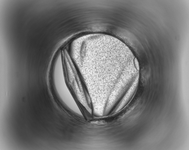 X0000095690536200802051315