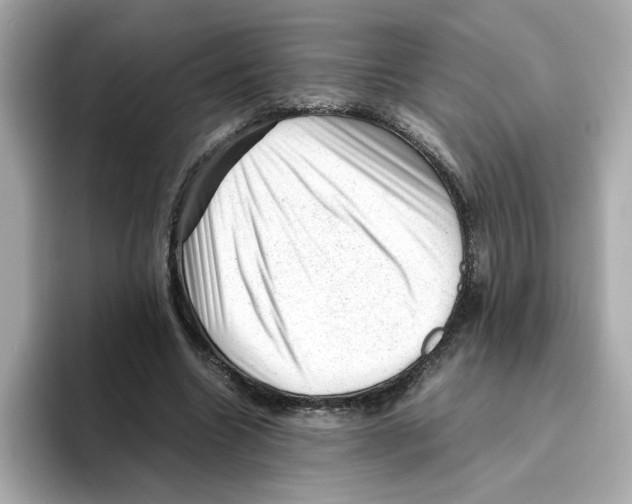 X0000095690538200802051315