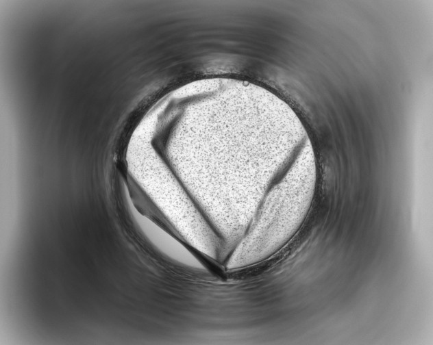 X0000095690539200802051315