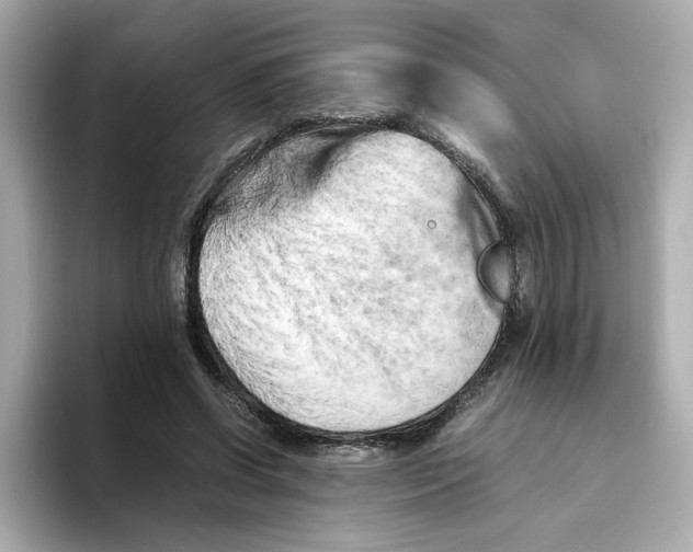 X0000095690542200802051315