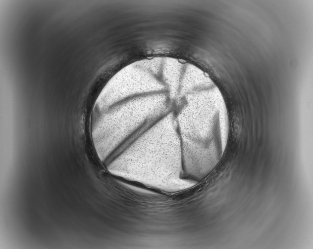 X0000095690543200802051315