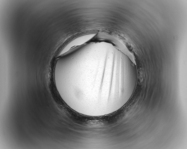 X0000095690544200802051315