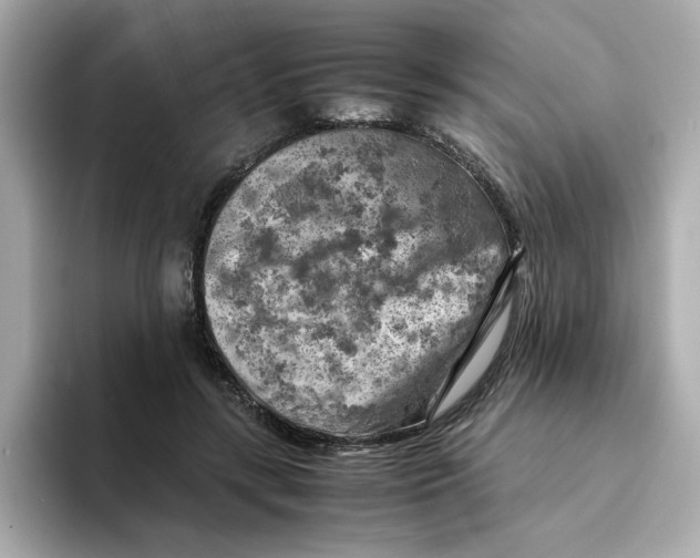 X0000095690547200802051315