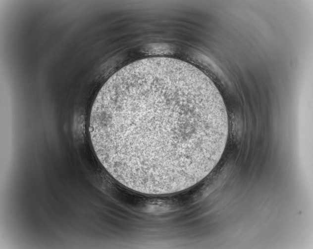 X0000095690549200802051315