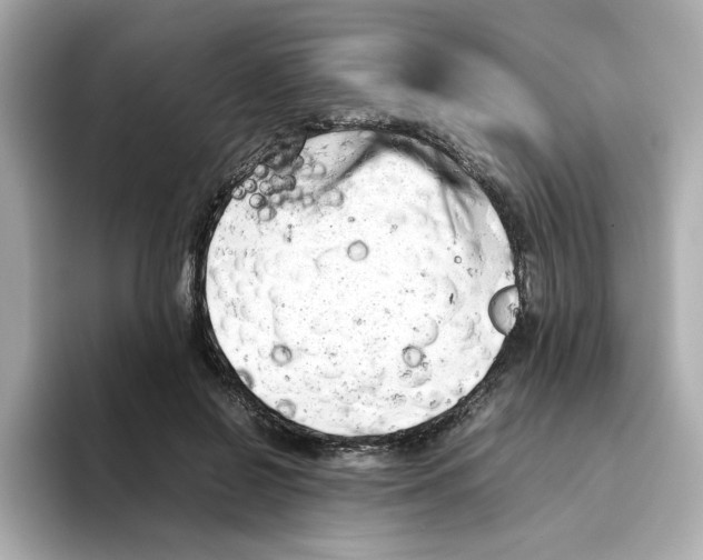 X0000095690550200802051315