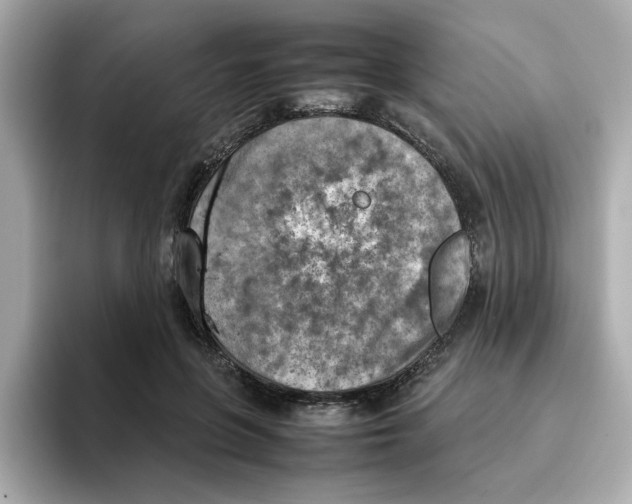 X0000095690551200802051315