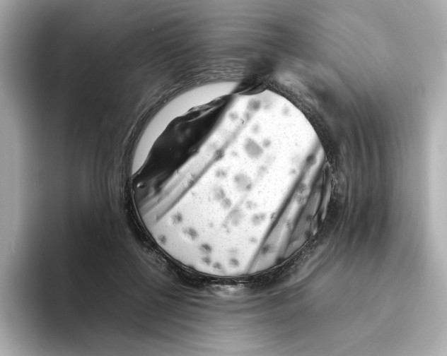 X0000095690552200802051315