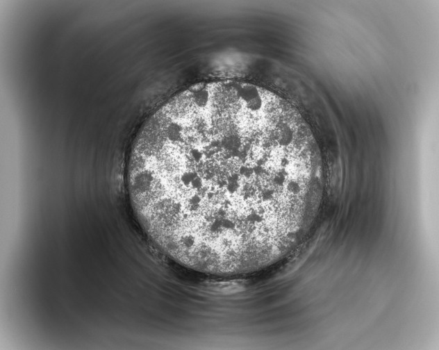 X0000095690553200802051315