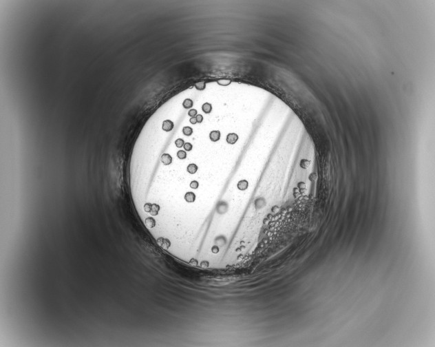 X0000095690554200802051315