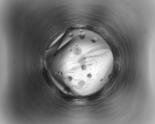 X0000095690556200802051315
