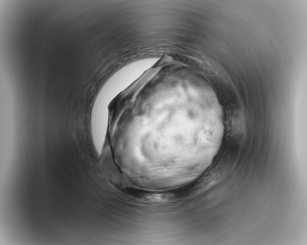 X0000095690558200802051315
