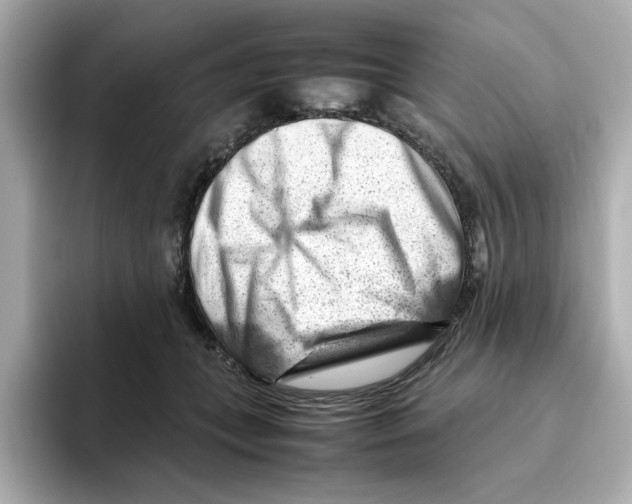X0000095690559200802051315