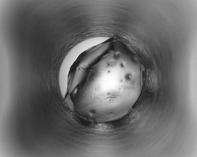 X0000095690562200802051315