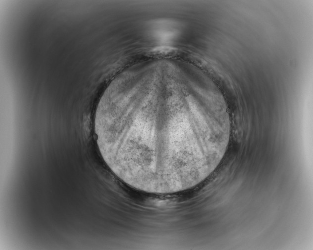 X0000095690563200802051315