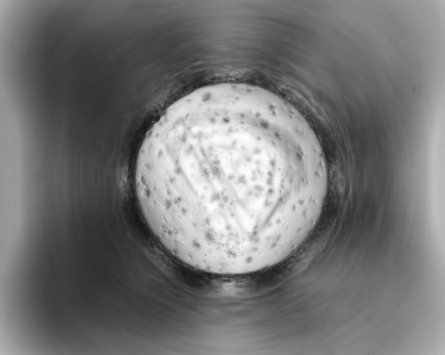 X0000095690564200802051315