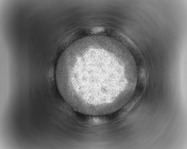 X0000095690565200802051315