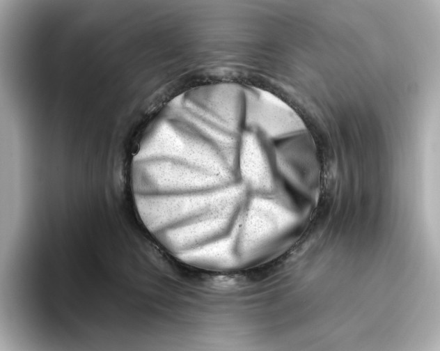 X0000095690566200802051315