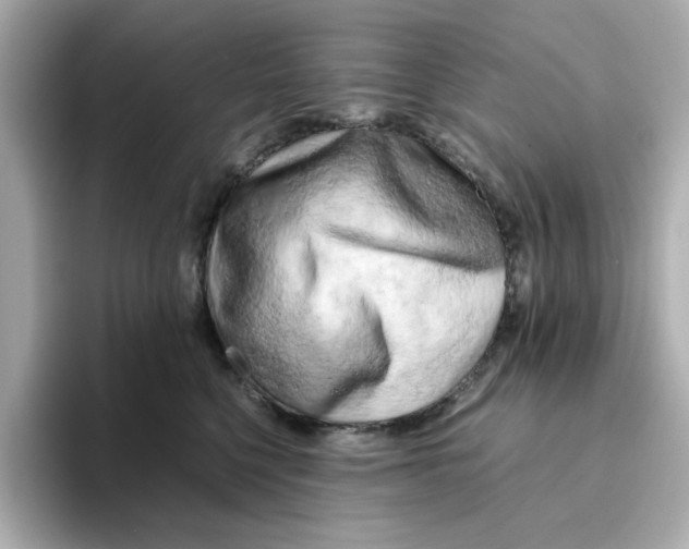 X0000095690568200802051315