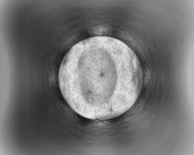 X0000095690569200802051315