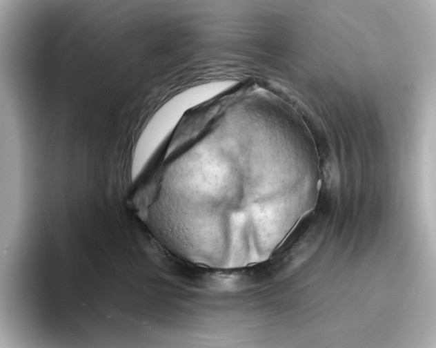 X0000095690570200802051315