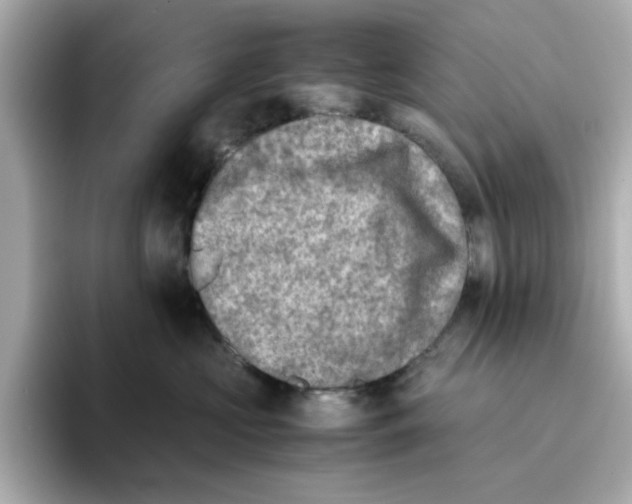 X0000095690573200802051315