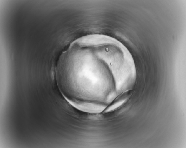 X0000095690576200802051315