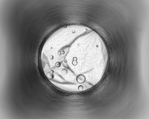X0000095690578200802051314