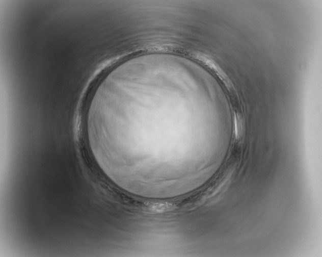 X0000095690579200802051314