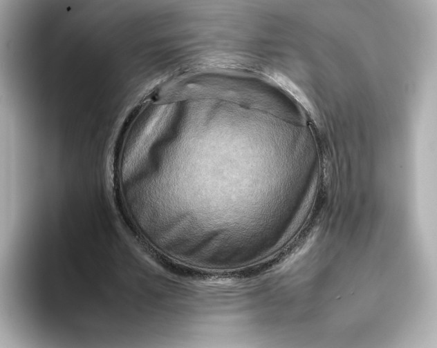 X0000095690581200802051314