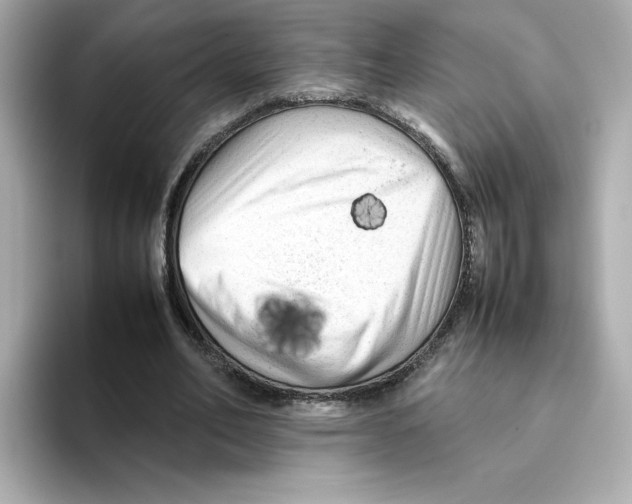 X0000095690582200802051314