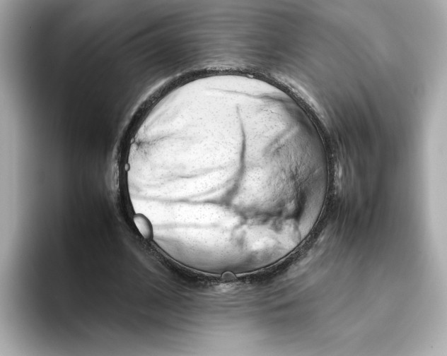 X0000095690584200802051314
