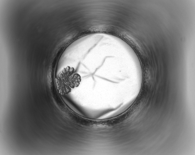 X0000095690586200802051314