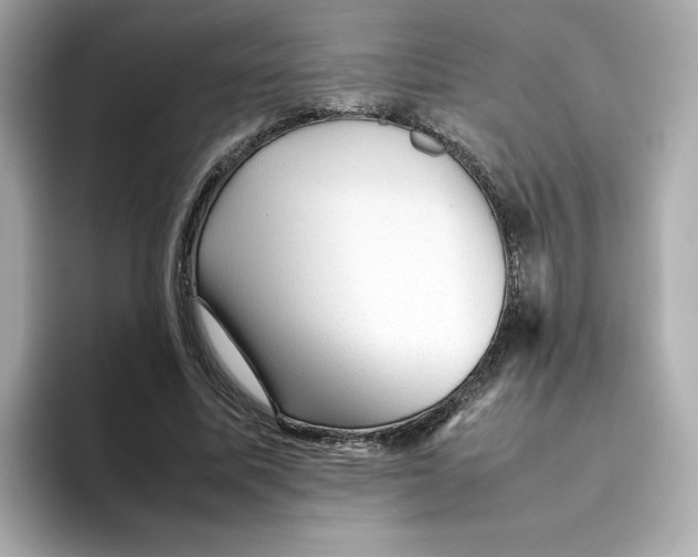 X0000095690587200802051314
