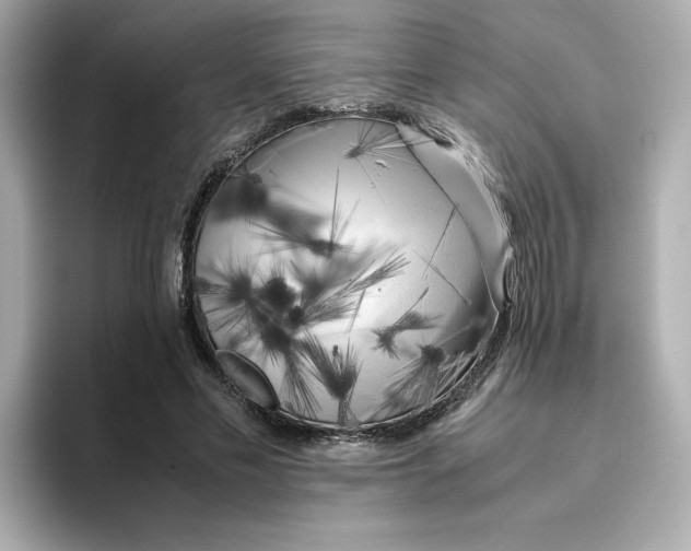X0000095690589200802051314