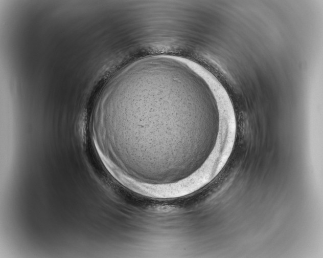 X0000095690590200802051314